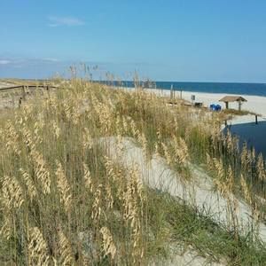 Meet your Posher, Cyndee